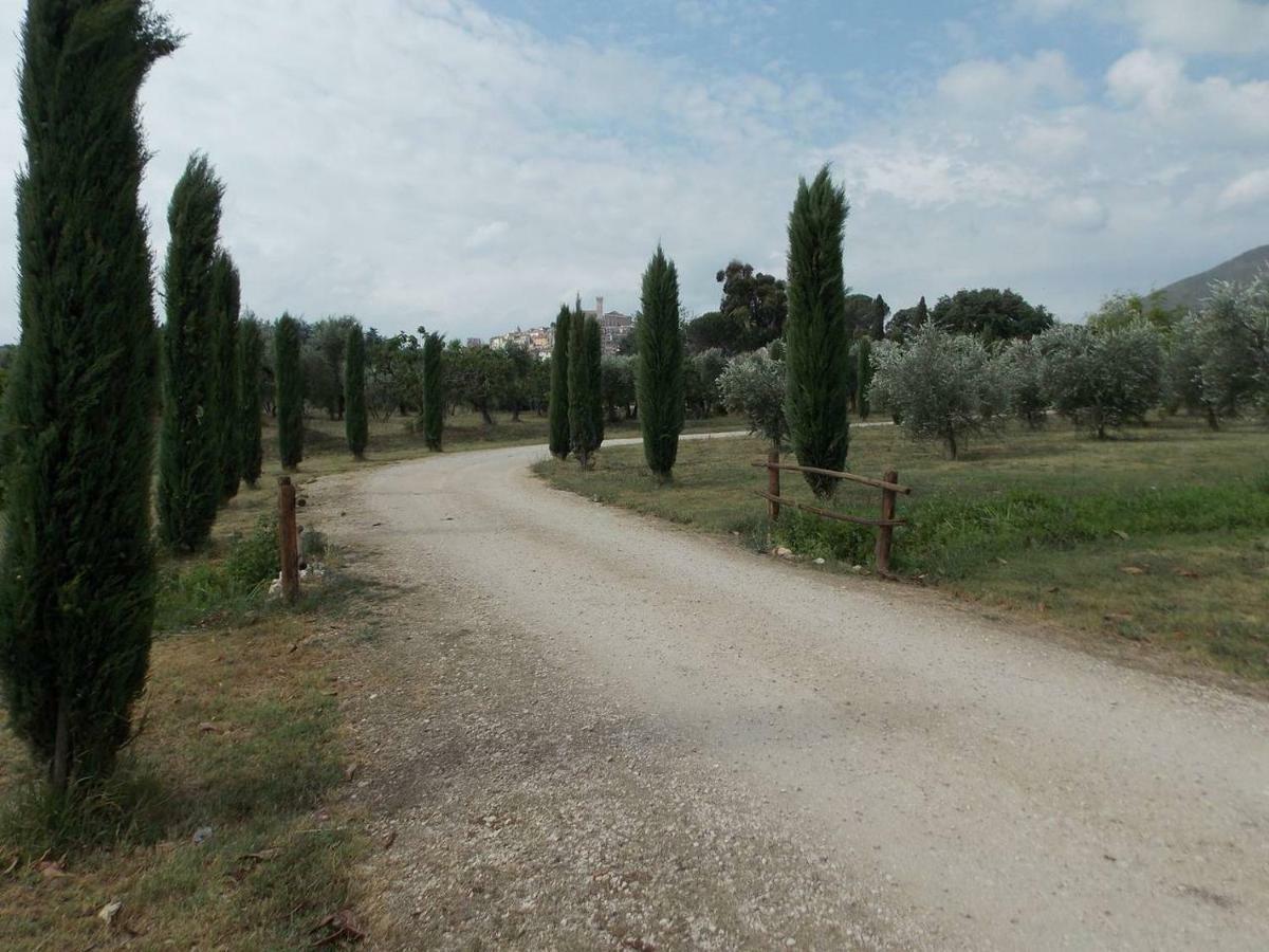 Agriturismo Cento Ducati Palombara Sabina Εξωτερικό φωτογραφία
